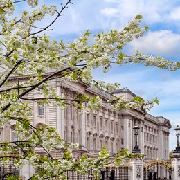 Central_London_Property_Market_Enjoys_a_Spring_Boost_image_1